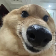 翻斗花园牛大力