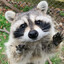 Ｐｉｘｅｌ