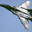 Mig-29S