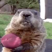 𝕜𝕣𝕖𝕤𝕡𝕪