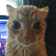 Freedie's avatar