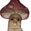 ShroomDoom