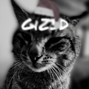 пули - кота какули