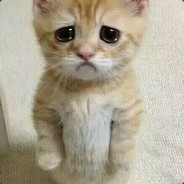 月至抹去