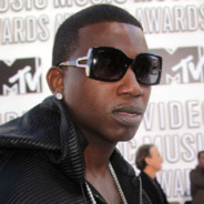 вагина дельфина