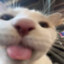 RexSonByMe