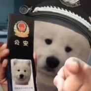 通辽麦旋风