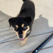 юра - steam id 76561199188194908