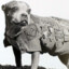 Sgt. Stubby