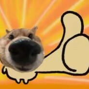 勤劳的小蜜蜂🐝