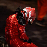 猪是的念来过反