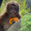 HappyMonkey's avatar