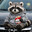 El Racoon