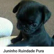 juninho ruindade pura