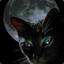 Blackheart =.=