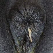 Мохнатый анус