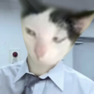 Avatar snapshot