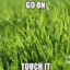 Touch Grass