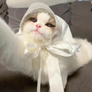 喊破甲是我破甲你上nm呢