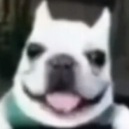 Успешный лев