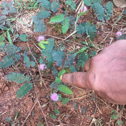 \u51b3\u5b9a\u7ec3\u5e9f\u53f7