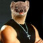 Vin Weasel