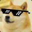 Doge