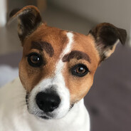 margu0n - steam id 76561198842276678