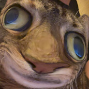 Tissel avatar
