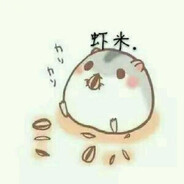 虾米