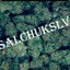 ✪ SalchuksLv