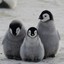 DiePinguine