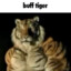 Buff Tiger