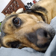 La BORRI's avatar