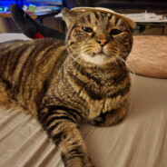 111111111111111111111111