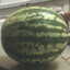 арбуз
