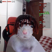 young cat skins.army