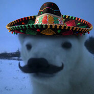 POLAR Steam avatar