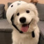 养活七十亿人