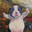i am pibble