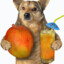 Mango Smoothies