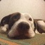 Subsco