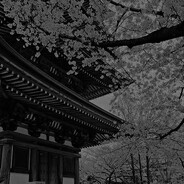 3am in tokyo#bummerrust