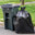 Literal Trash