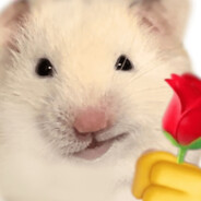 我是ikun之鸡你太美