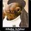 Admiral Ackbar