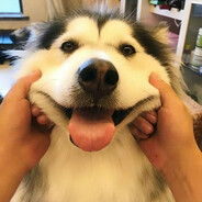 骑花栗鼠的少女