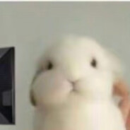 叽里咕噜说啥呢