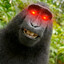 INDOG SLAYER!! NO PMA MONKEY