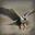 Peregrine